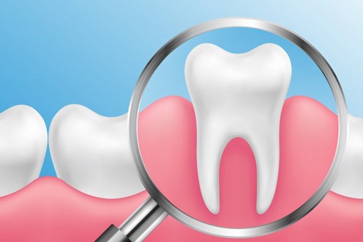 Digital image of magnifying glass inspecting a tooth
